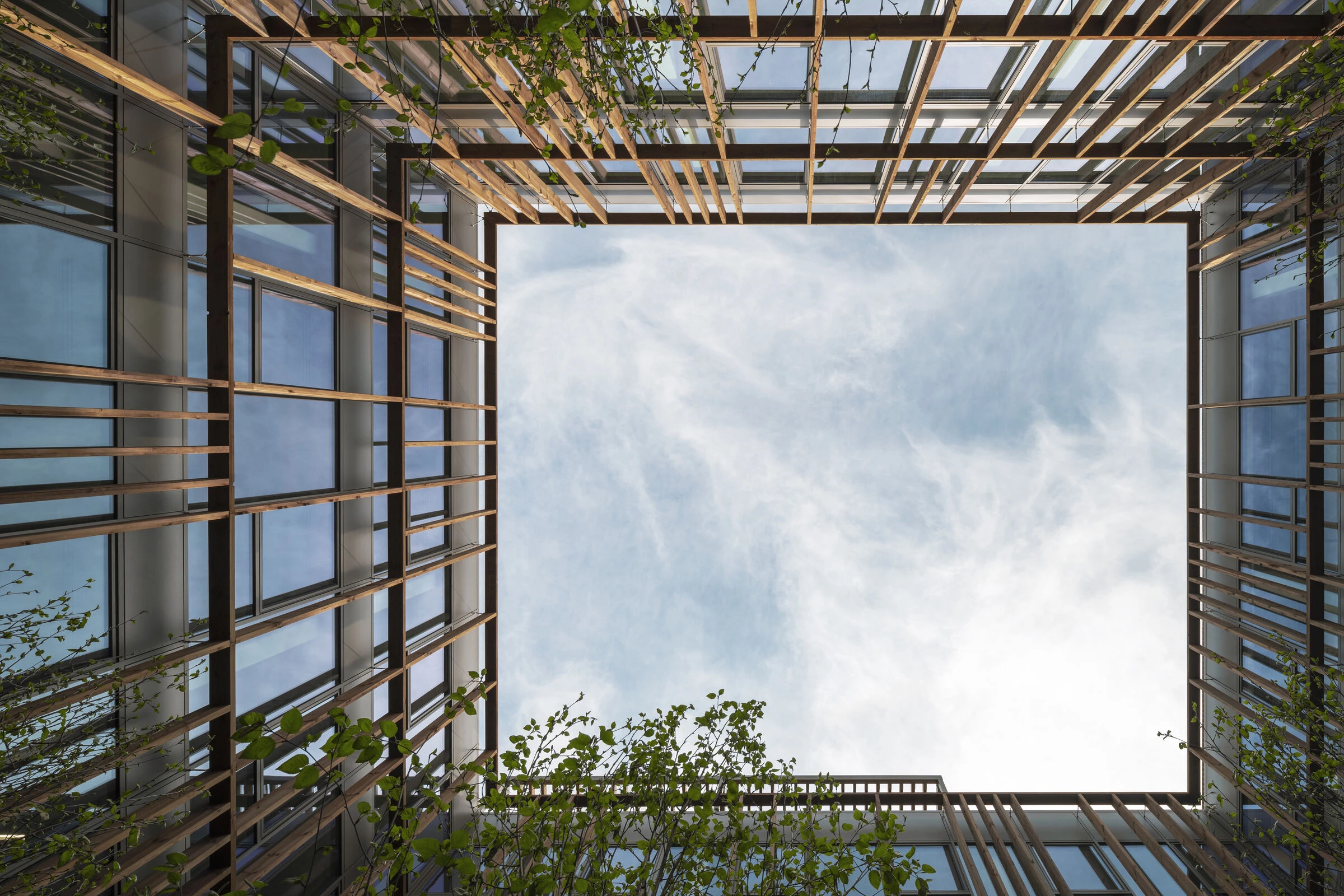 维勒勒维克街的翻修丨法国巴黎-15