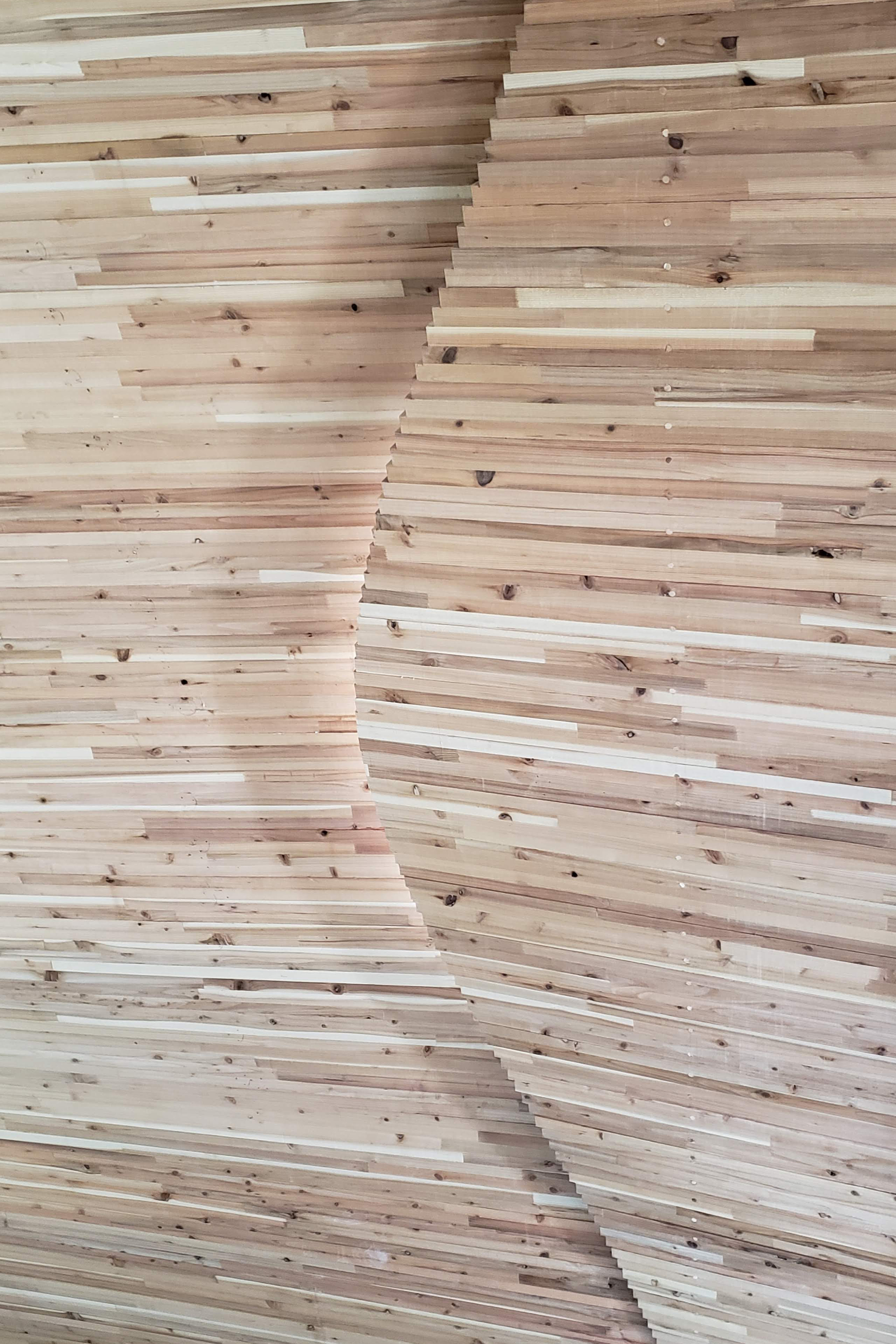 Zushi 住宅丨日本丨Rei Mitsui Architects-34