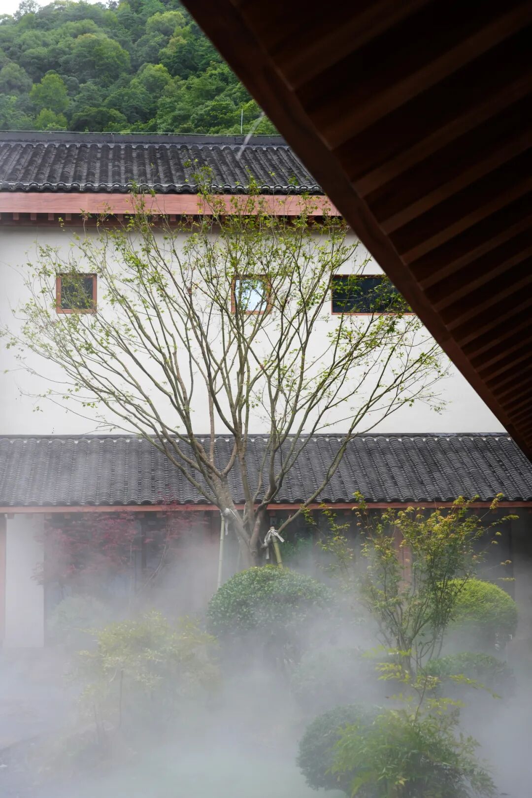 杭州拾云漫谷民宿-东方气韵，归隐栖居/印文设计-98