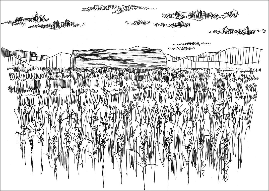 江小白乡村俱乐部 | 现代建筑与自然的共生-22