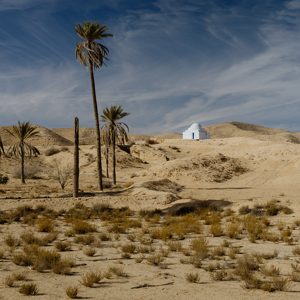 空谷传响（英文:Timeless Voices）丨比利时-61