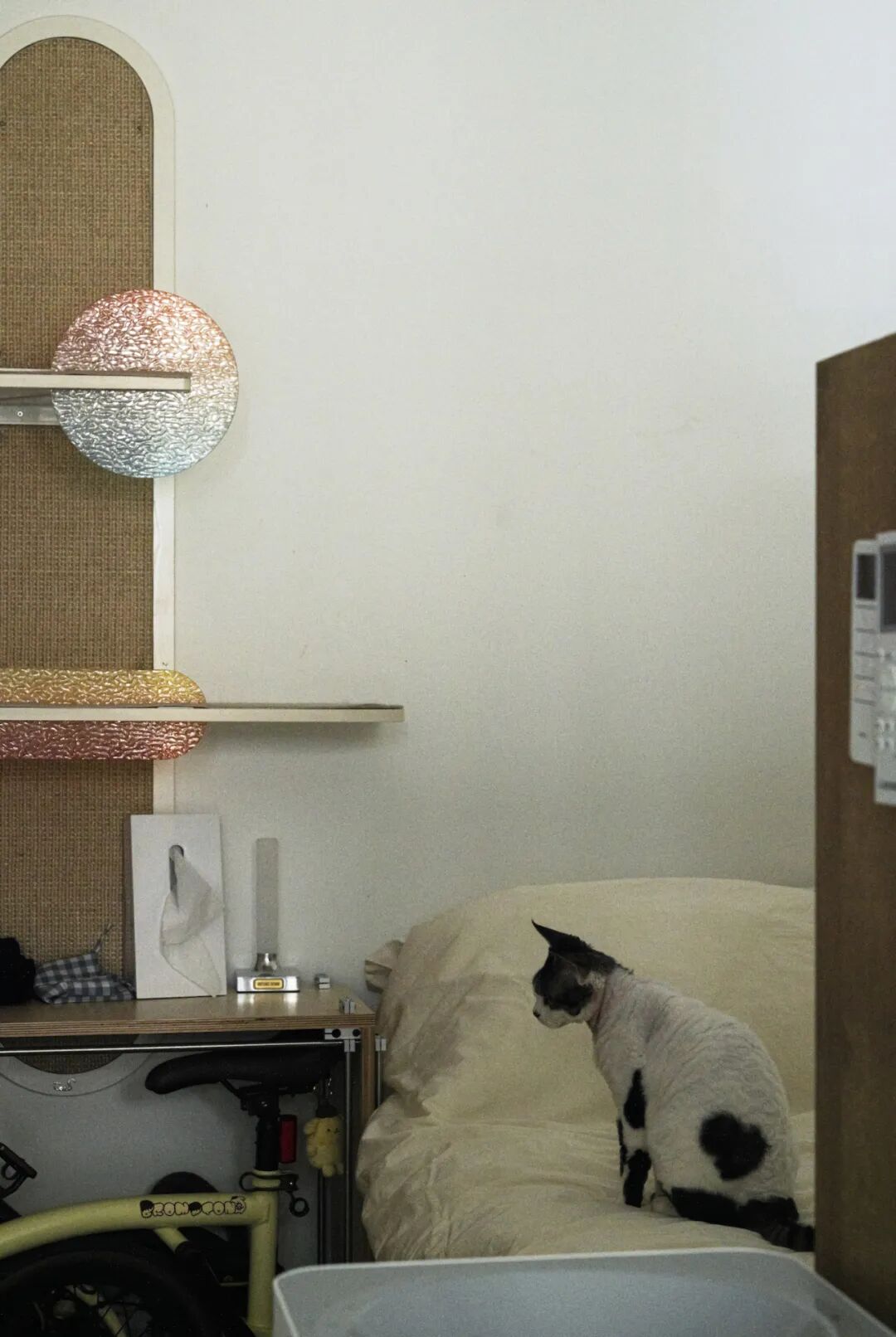 44㎡的治愈宇宙：一人四猫的共生乐园，小户型里的极致温柔-124