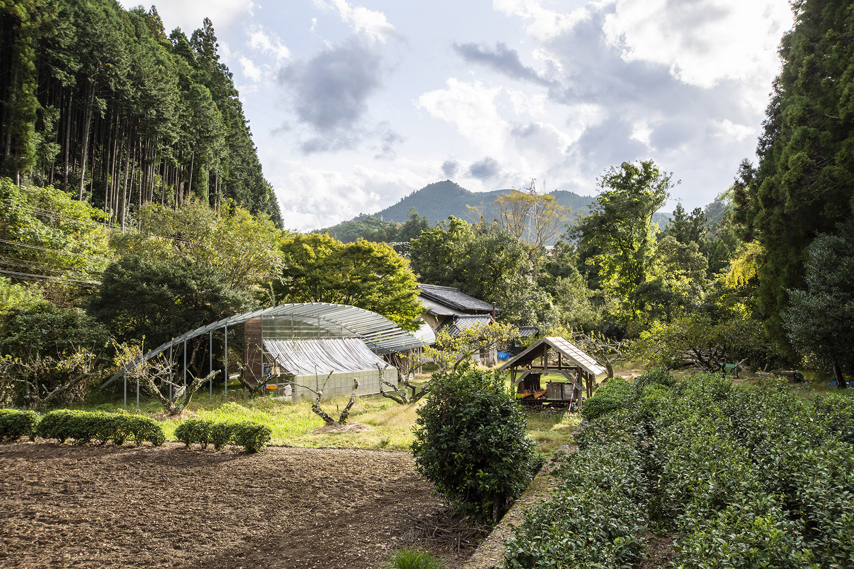 廊架住宅丨日本静冈丨Takayuki Kuzushima and Associates-11