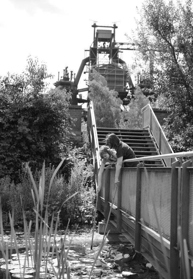 “老虎与乌龟”丨德国丨德国艺术家乌尔里希·根茨和海克·穆特-73