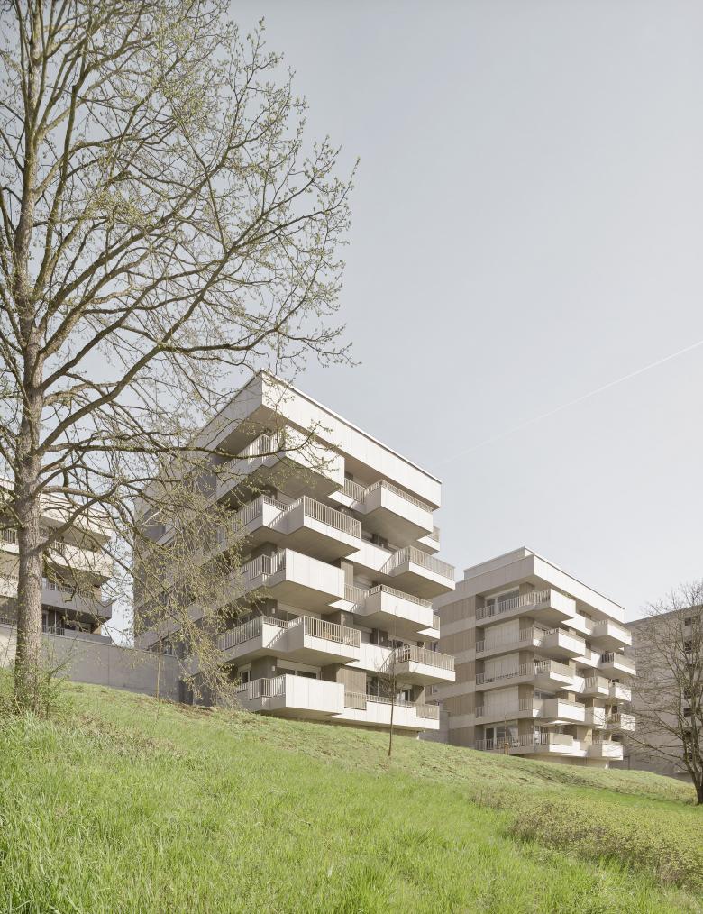 在藏红花山上居住丨德国丨kaestle&ocker-14