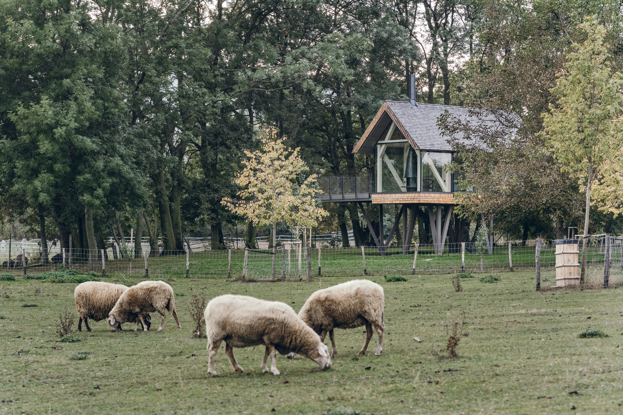 禅房丨奥地利丨JAN TYRPEKL-35