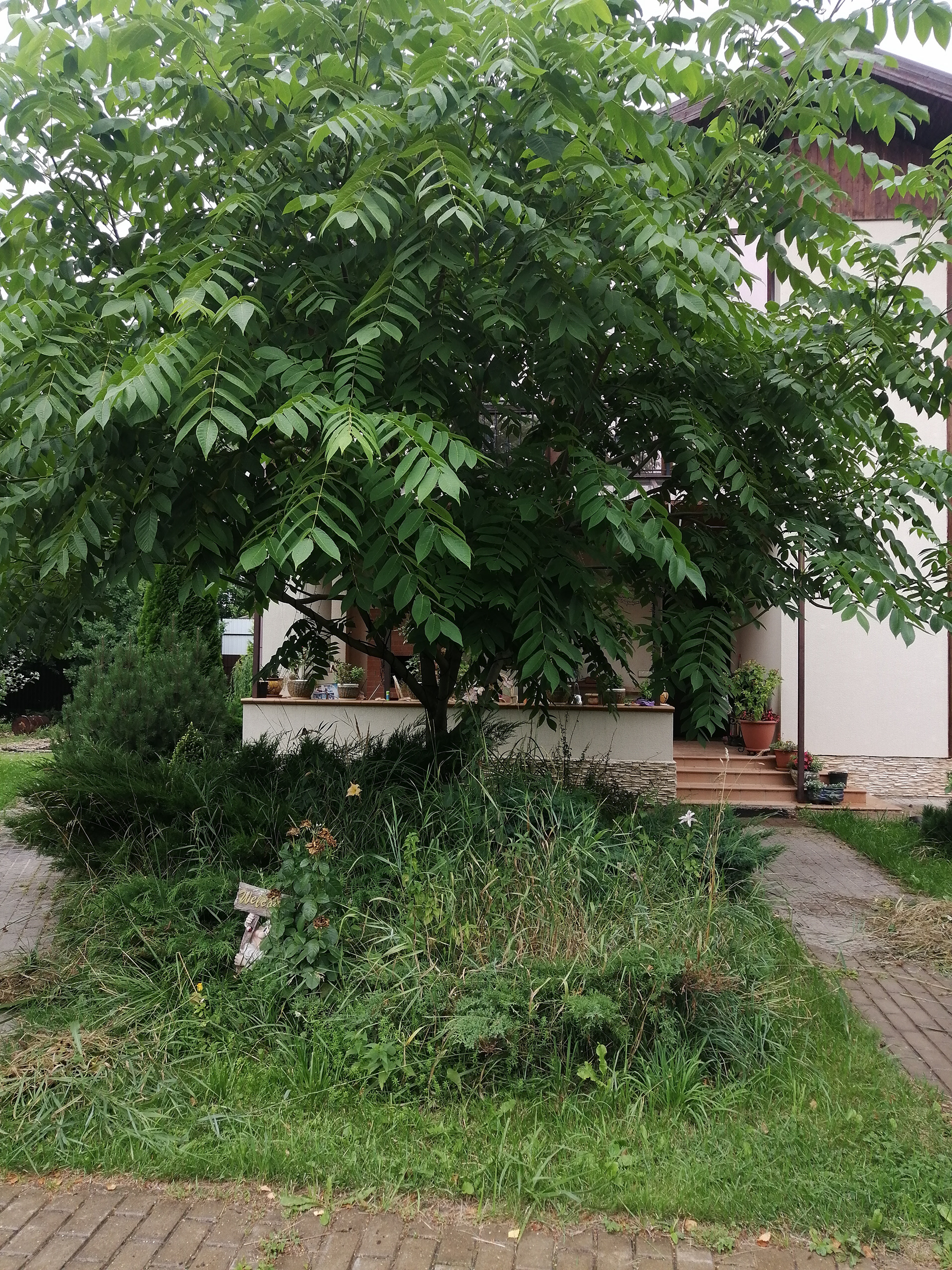 Obninsk私人花园重建-6