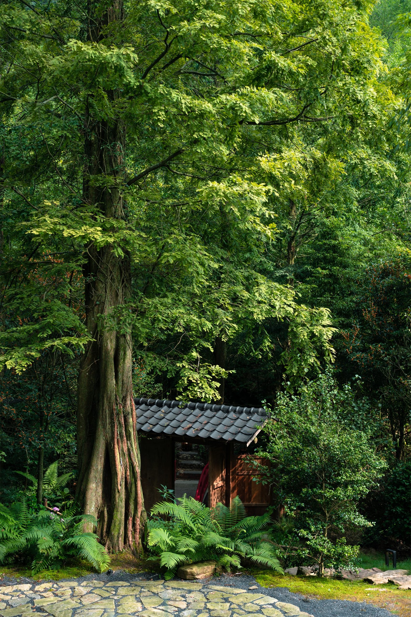 不宿·久之森林民宿丨中国成都丨予山景观,严焱,丁玉峰-30