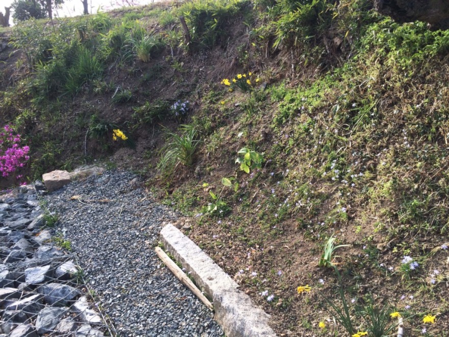 冈山赤穗备前住宅北庭及中庭改造项目-66