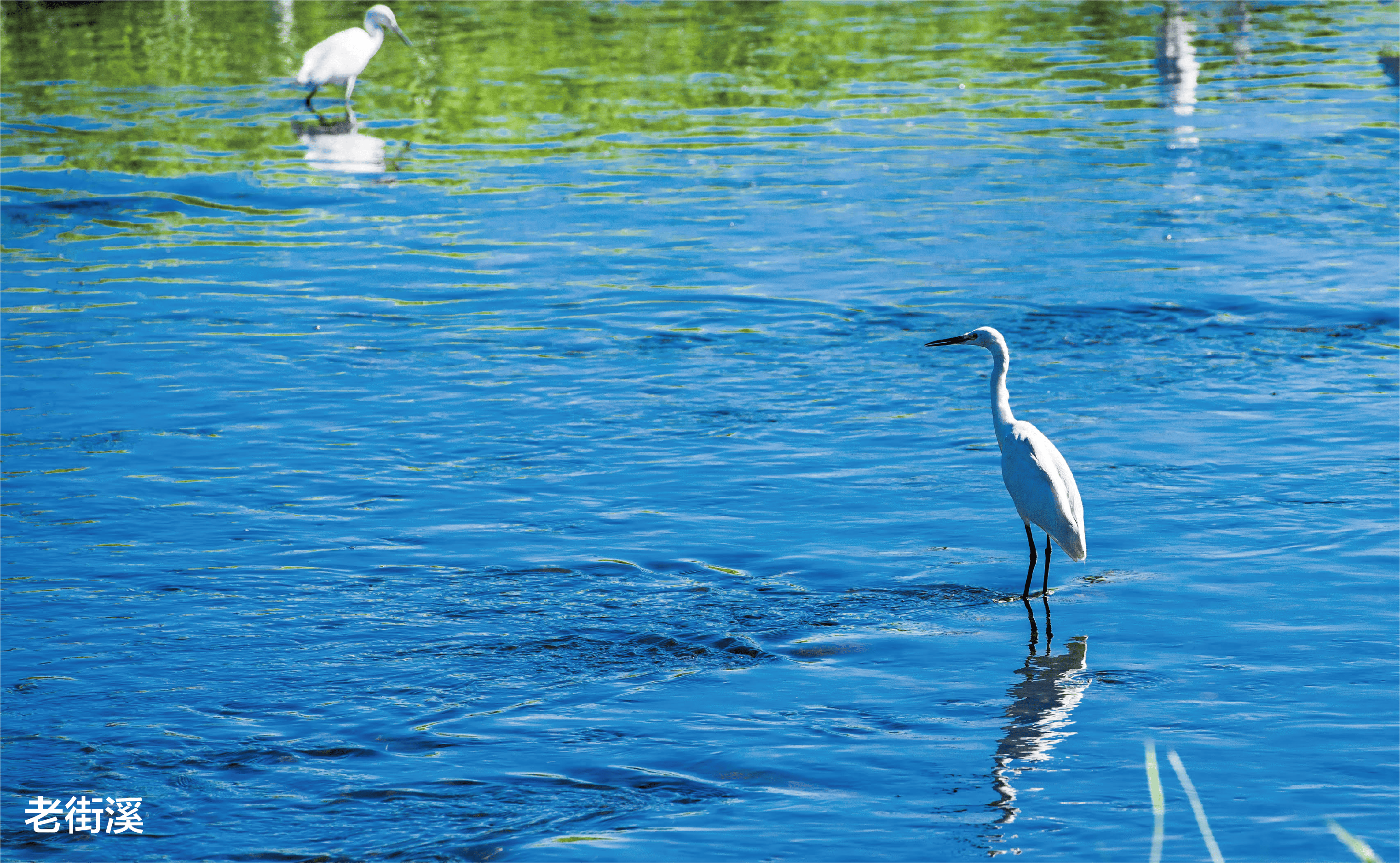 京懋敦和丨P&T巴馬丹拿集團-8
