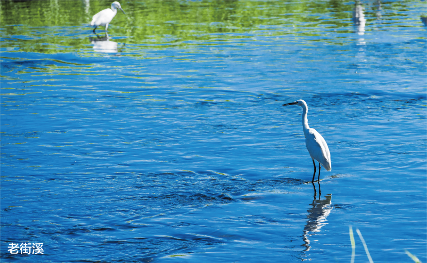 京懋敦和丨P&T巴馬丹拿集團-8