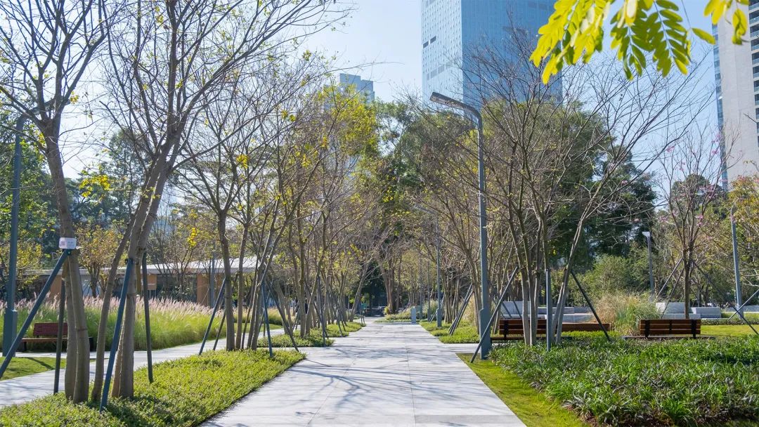深圳智见·云上 · 科技与自然融合的社区公园丨中国深圳丨林俊英景观工作室,深圳市造源景观旅游规划设计有限公司-51