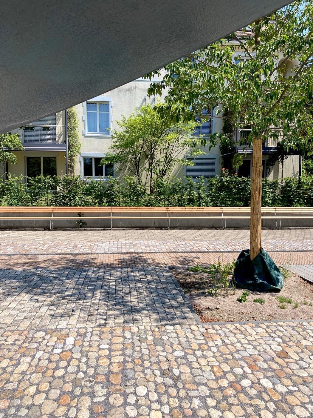 瑞士宇宙能源公司周围景观-14