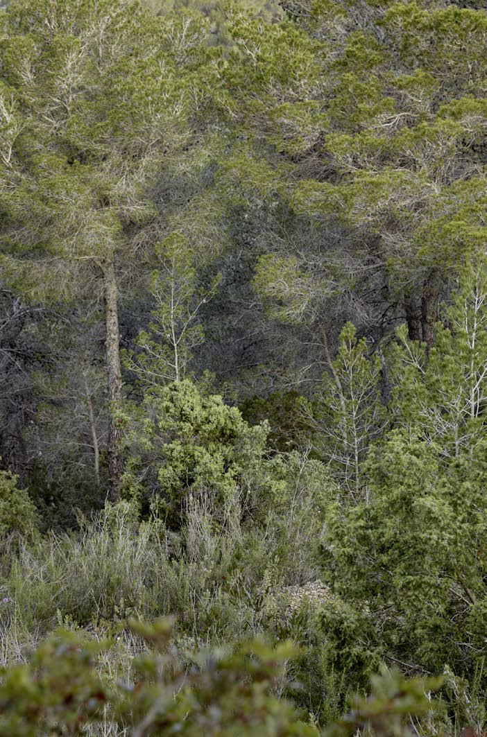 La Granja酒店，西班牙 / Dreimeta design studio -11