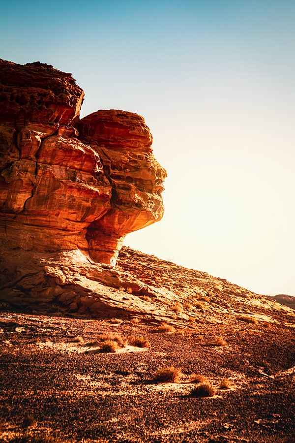 Face Rock 景观设计丨沙特阿拉伯-12