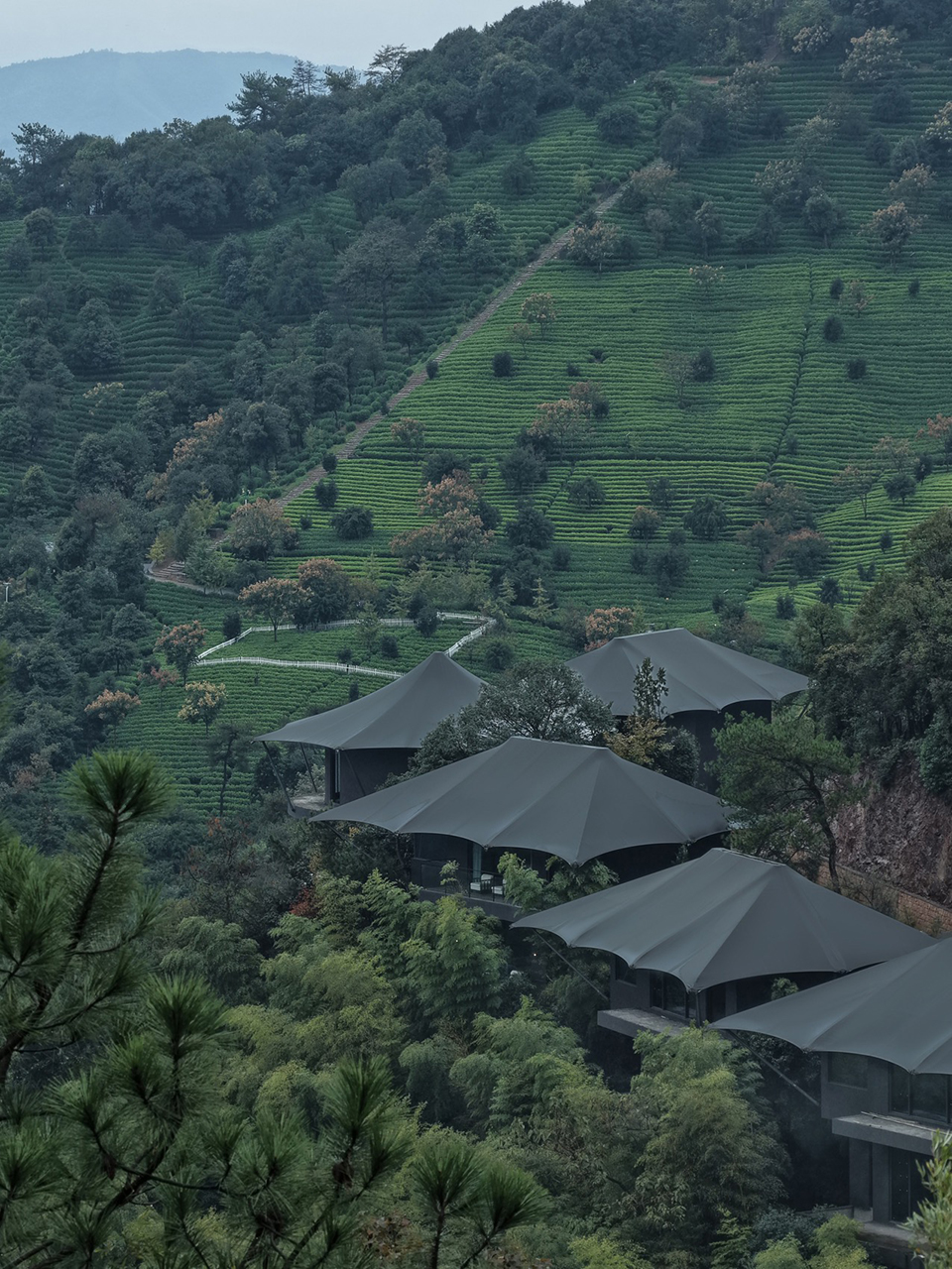 隐奢于野,与自然共呼吸丨中国湖州丨慢珊瑚设计-29