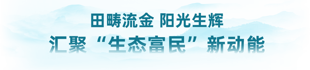 荒山“种”绿电，绘就绿色低碳发展新画卷-68