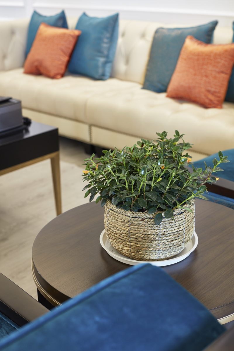 香蜜湖九号大院现代简约家居设计-24