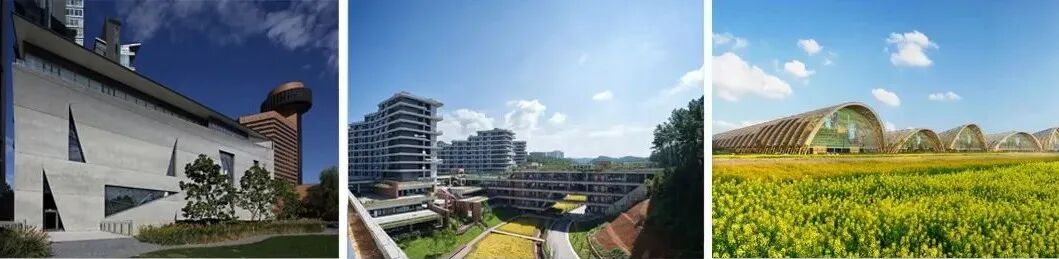 中国院+中国建研院|2025日本大阪世博会中国馆-429