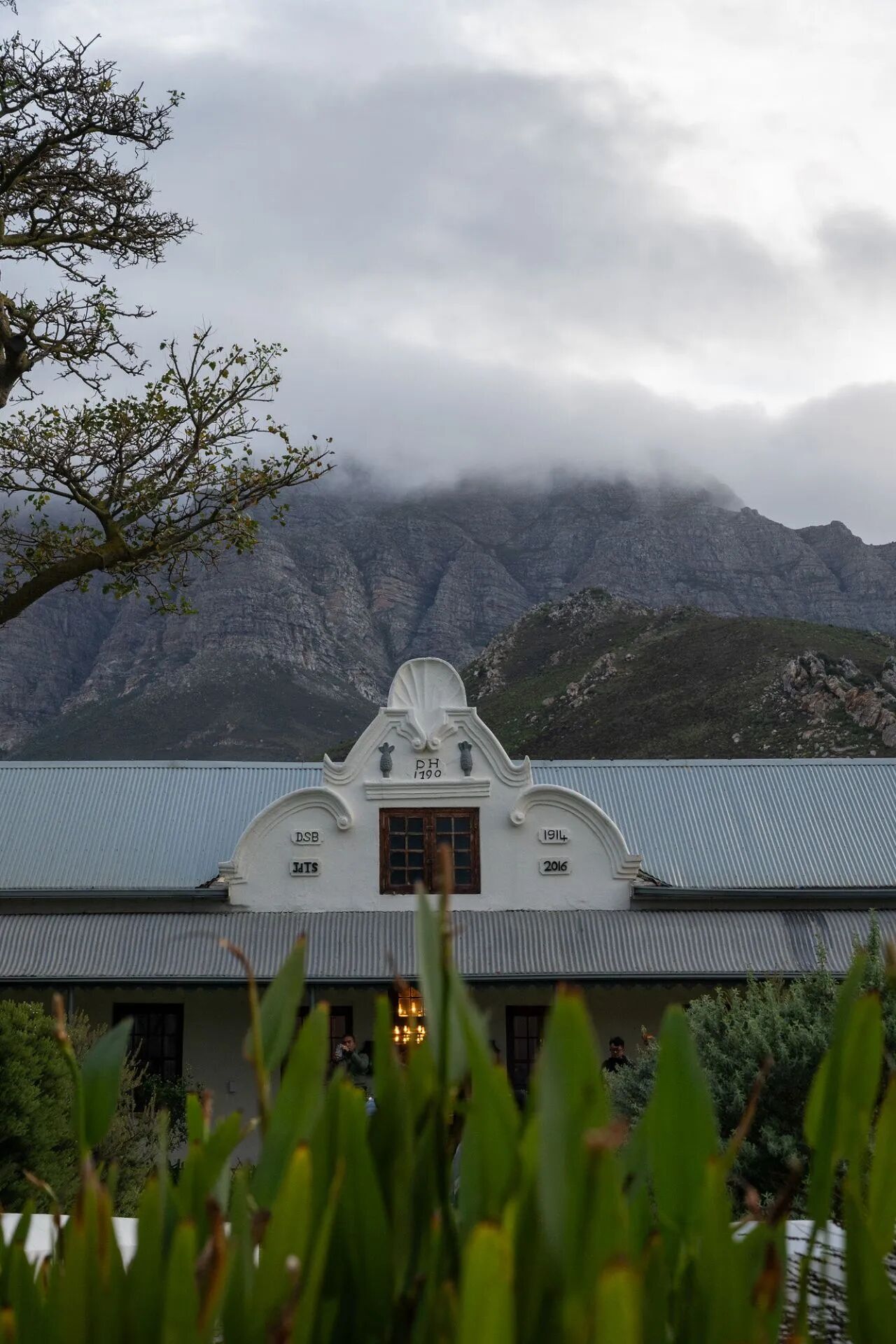 SAOTA工作室丨南非开普敦丨开普敦建筑师Tiaan Meyer-92