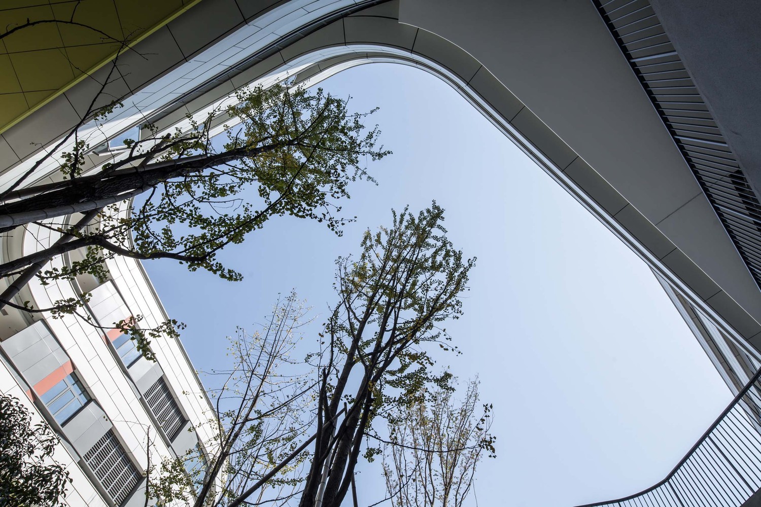 浙江大学的附属中学教育建筑 · 开放,活力,绿色-26