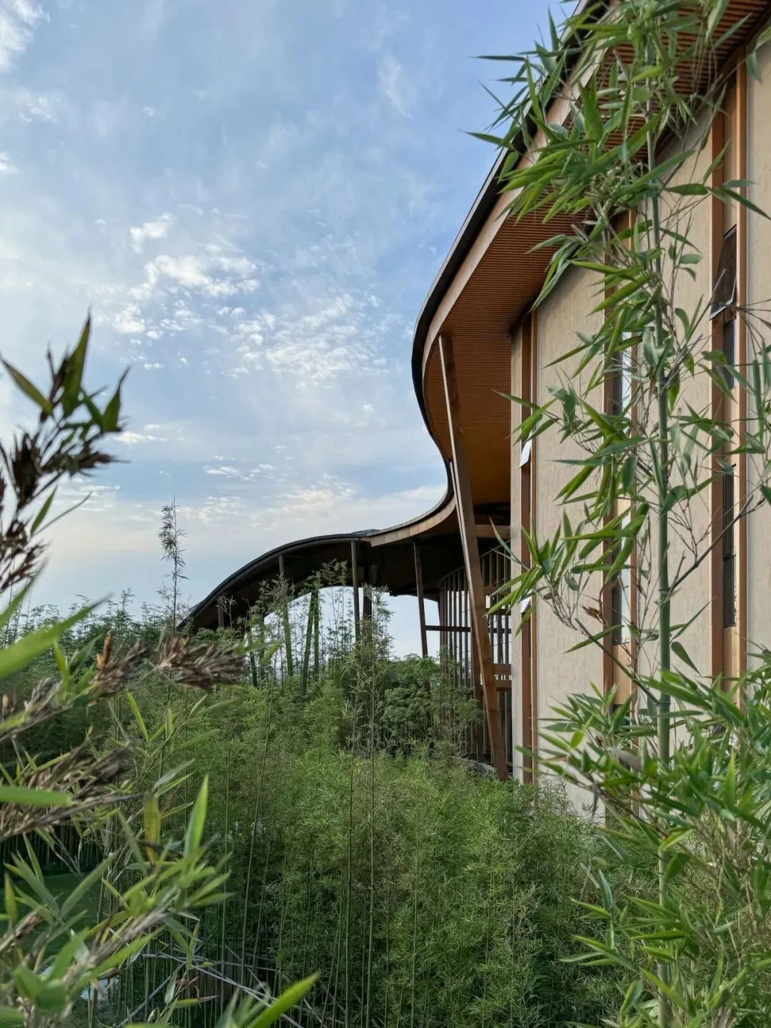 “龙脊”  地中海黑龙滩度假酒店丨中国眉山丨AIM（恺慕）建筑设计等多家-22