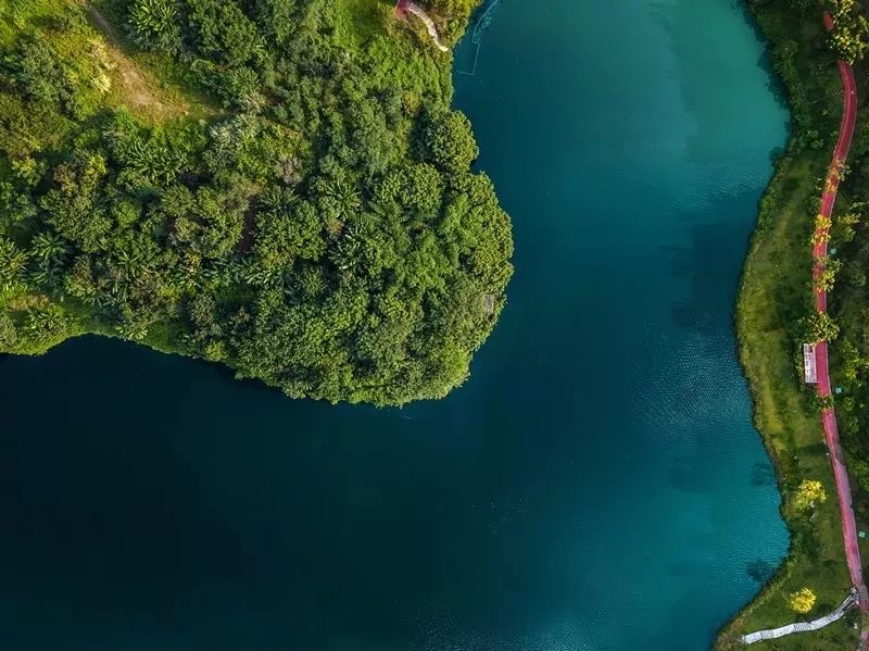 壹号半岛 | 梦境般的曲线景观设计-8