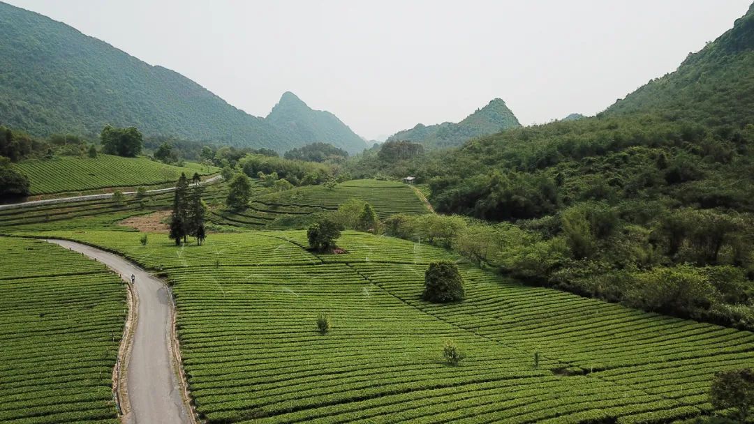 大地艺术探索 | 重建自然与生活的诗意-26