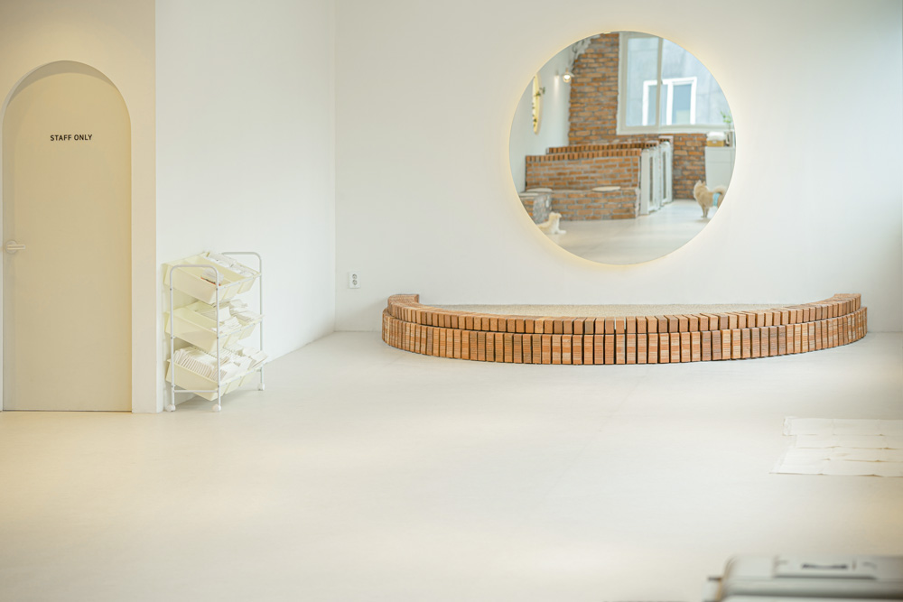 现代简约设计，50 平米公寓的惊艳变身-5