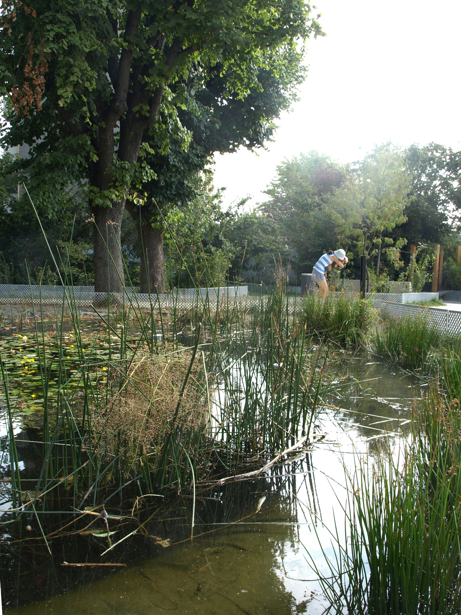 城市教育绿洲 · 埃德瓦·格利桑特花园-13