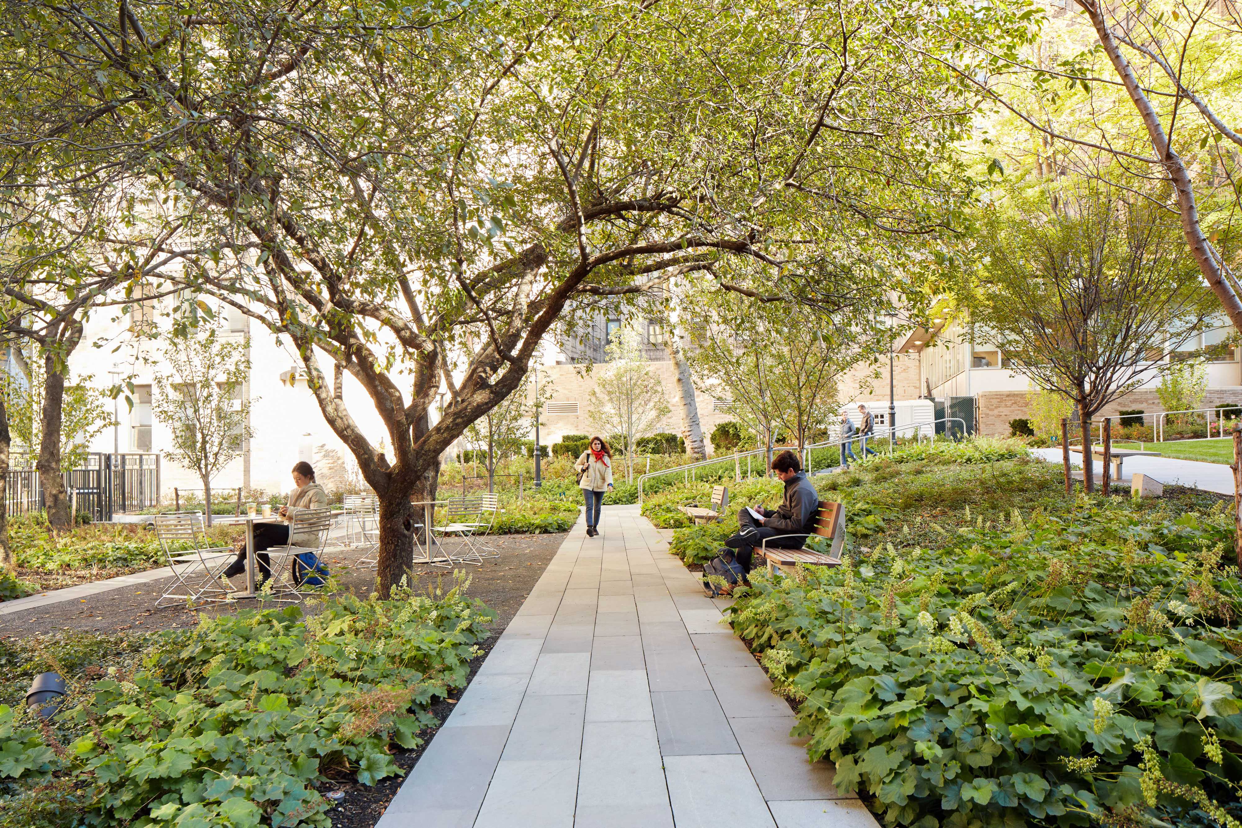 纽约哥伦比亚大学医学中心公共空间设计-0