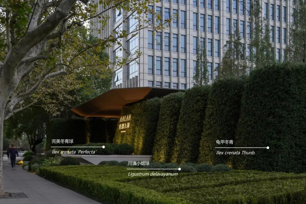 安澜·上海丨中国上海丨翊象设计（方案）,LAURENT罗朗设计（施工图,监造）-11