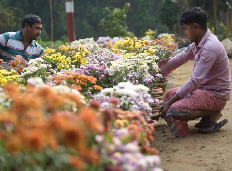 Premier Gardening Services景观设计项目丨印度加尔各答丨Theplantjob™ Network-46