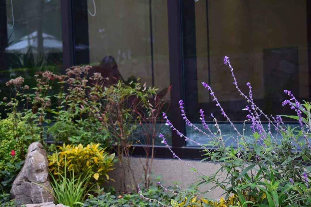 迪赛·东篱——新中式风格的庭院美学-83