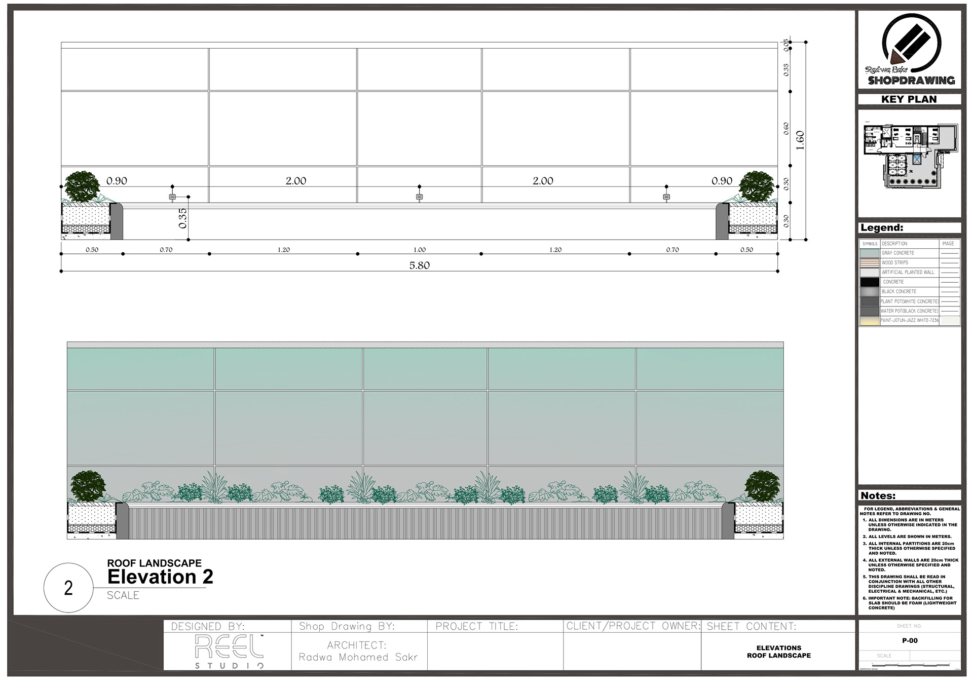 Shop Drawing For Roof Landscape-12