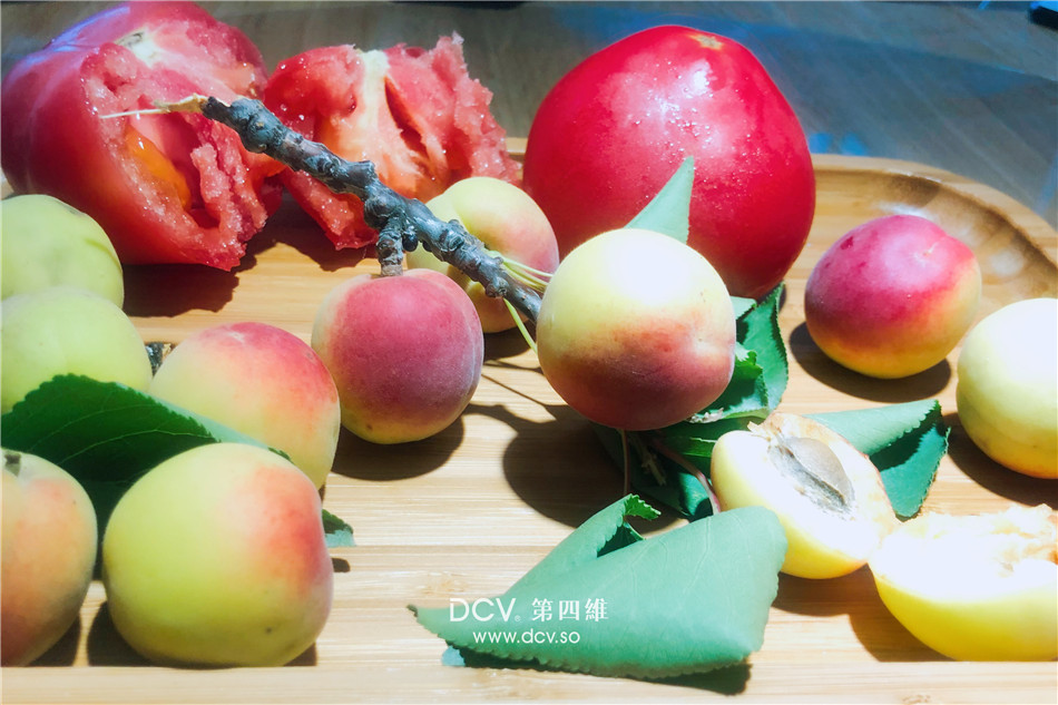 西安文艺的民宿酒店设计-蒲舍·南谷里 （山西永济中条山）-37