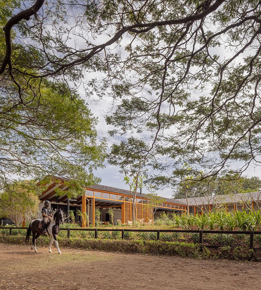 巴西建筑师 Gui Mattos 的木结构环保住宅设计-26