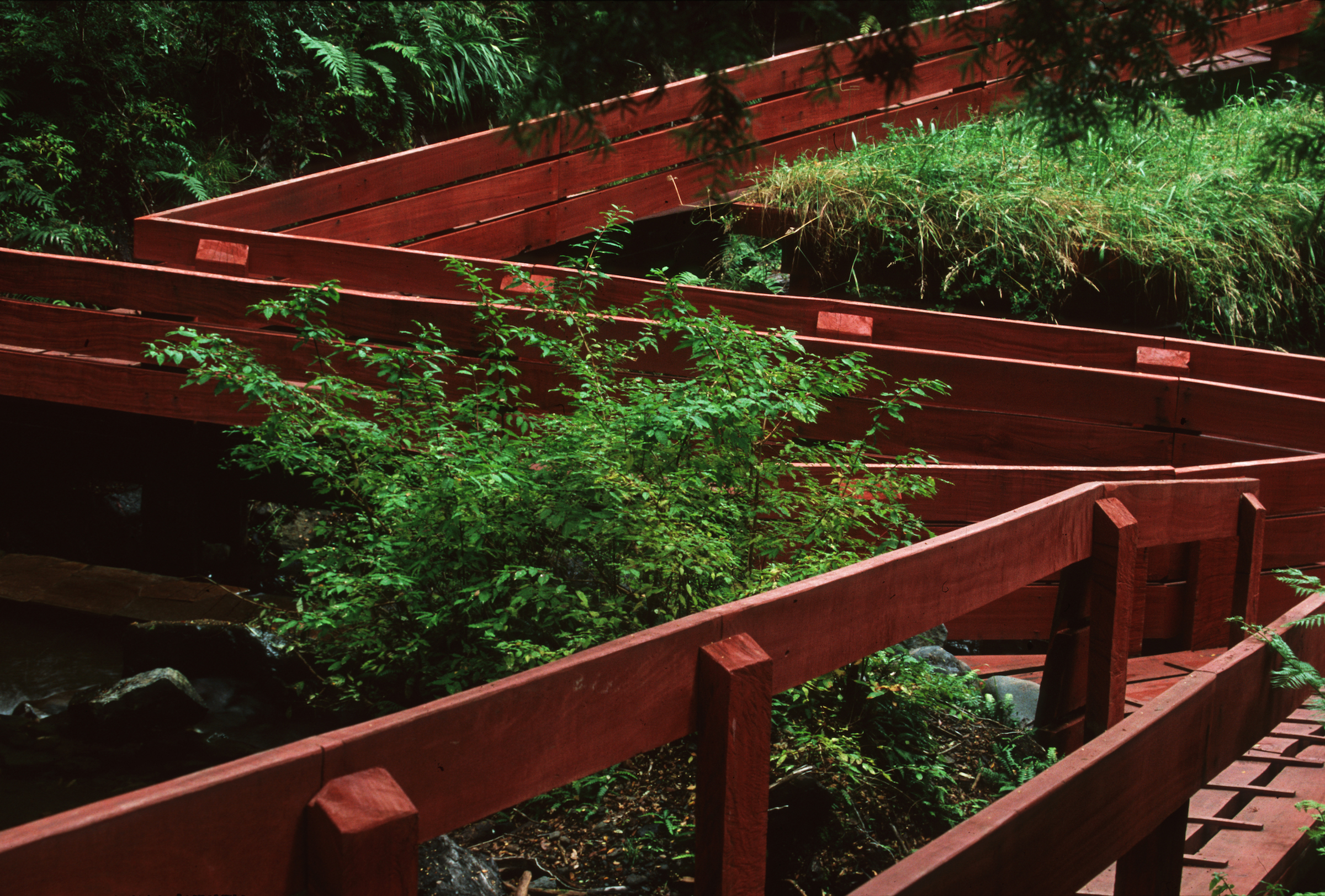 Termas Geométricas 温泉景观设计丨智利丨Germán del Solarquitectos-33