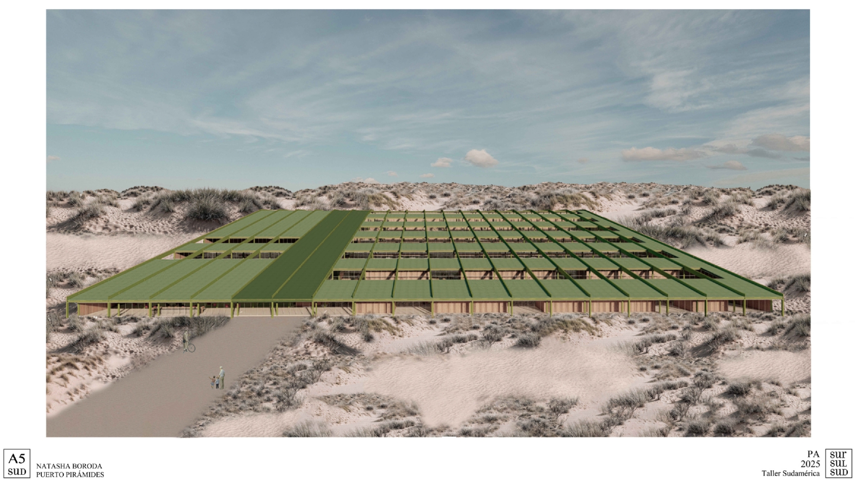 Puerto Pirámide | Centro de Investigacion-13