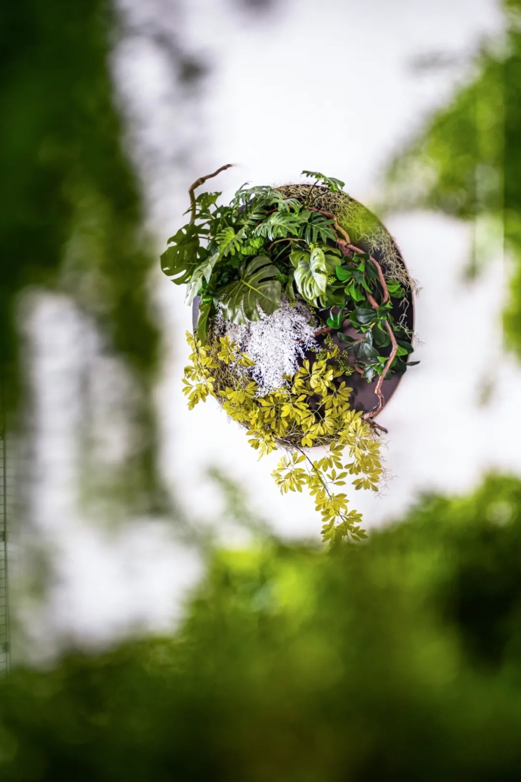 幻象森林,都市绿洲里的自然魅力-10