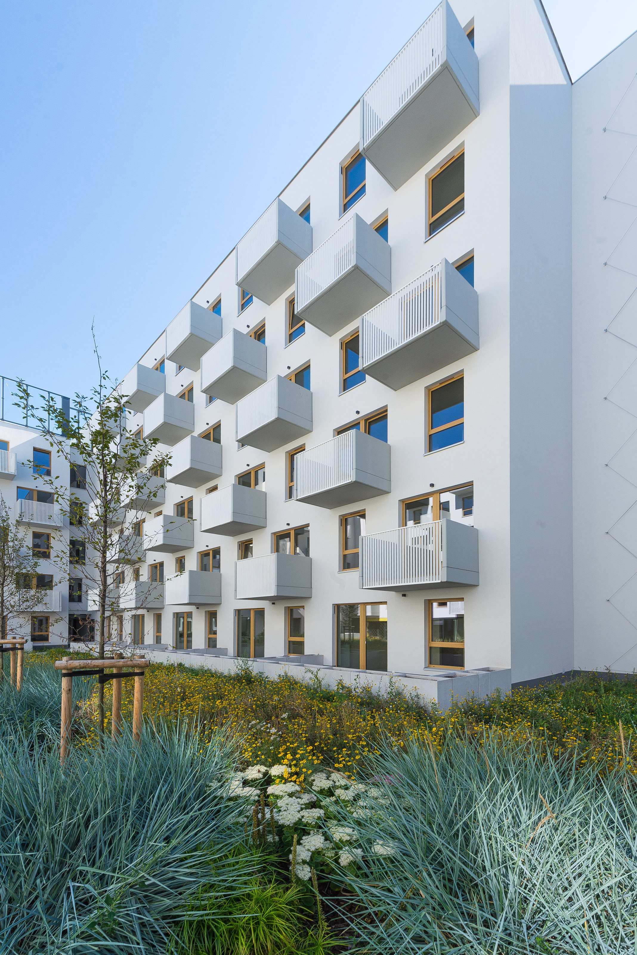 Braniborska 44 多户住宅项目丨arch_it piotr zybura-12