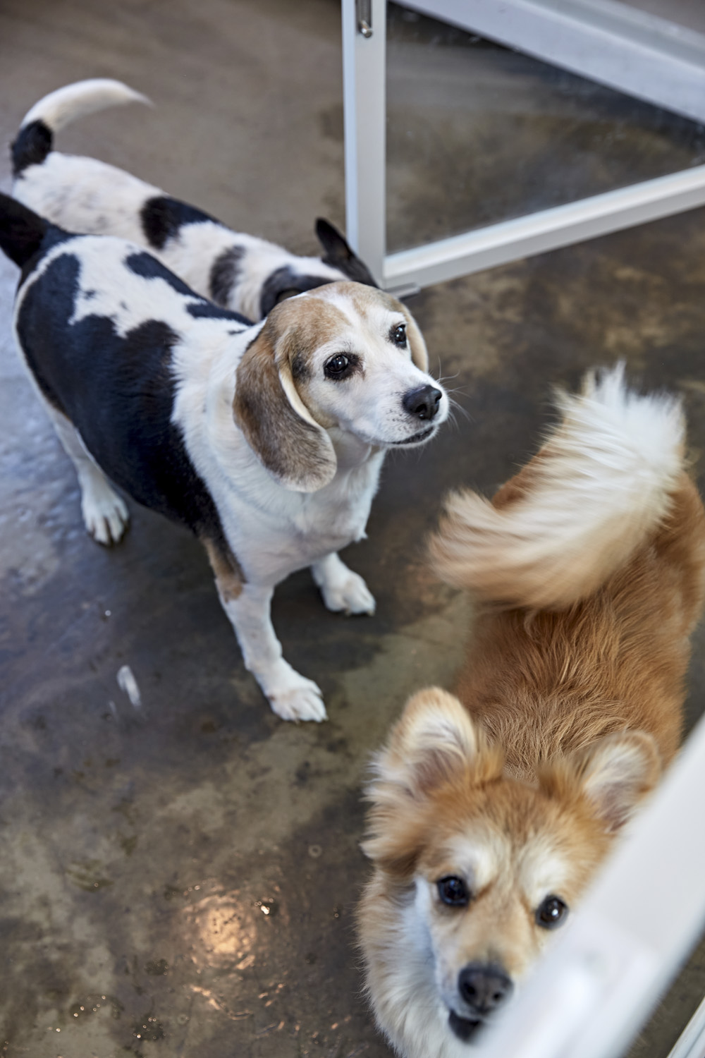 室内装饰的极致展现-19