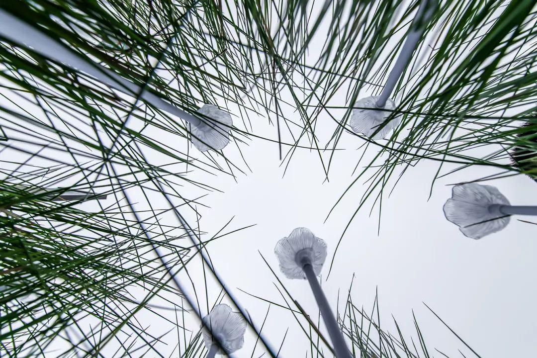 开放 开眼 开心| 绿地•万州城际空间站-57