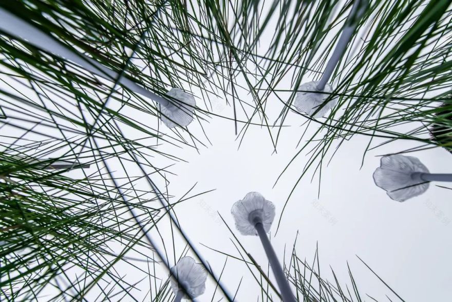 开放 开眼 开心| 绿地•万州城际空间站-57