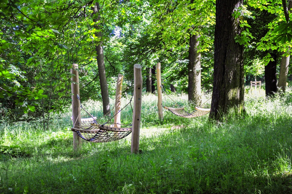 埃尔福特艾格公园知识森林丨德国丨德国雷瓦德景观建筑事务所-116