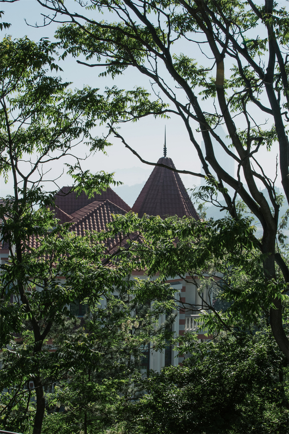 CUP 西餐厅丨中国青岛丨W·SELECT-3