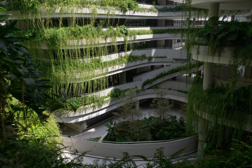 深圳无界花园丨中国深圳丨大小景观-4