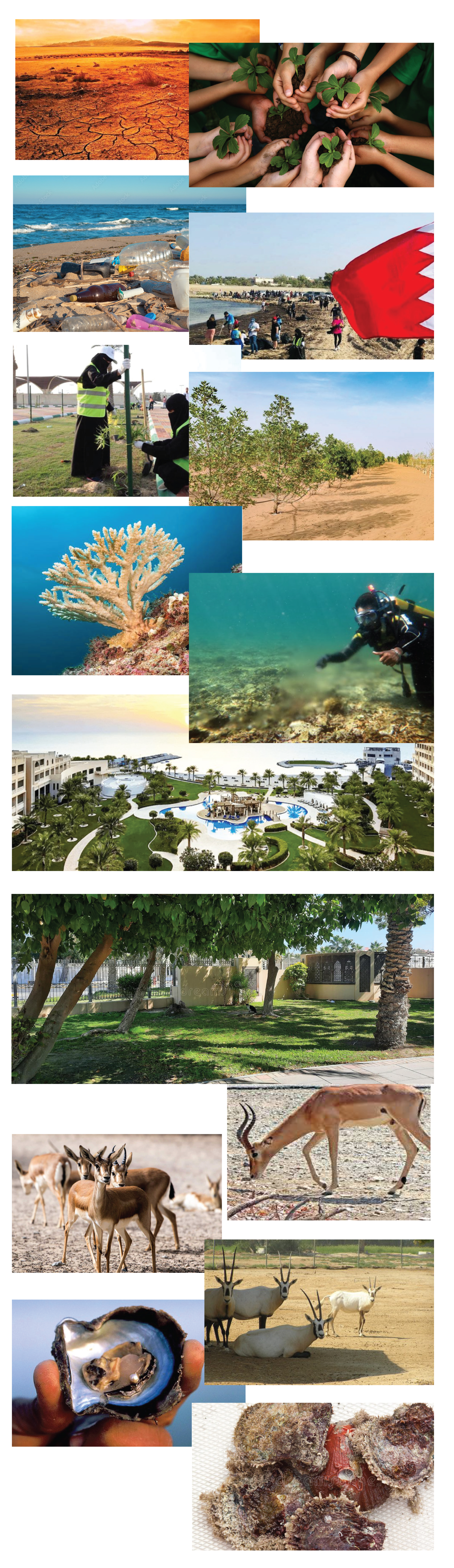 WORLD4 ENVIRONMENT DAY- GAME ZONE-11