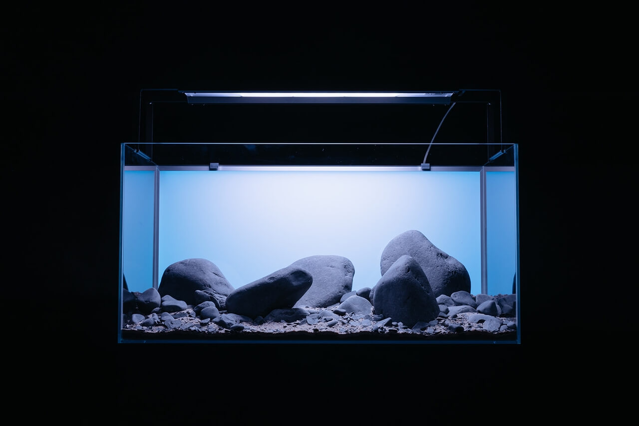 Akwarystyczne aranżacje od TRZMIEL zaprojektowane przez youtubera Zenon Aqua - PLN Design-3