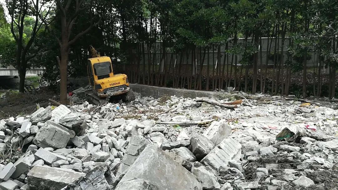 迪赛·东篱 | 闲田信步,采菊东篱-23